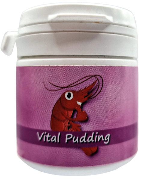 Vital Pudding - Feuchtfutter 50g